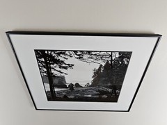 Original Signed Walter Pinkus Photograph Olympic WA 20.25×16.25 Framed B&W Art