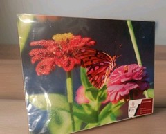 Butterfly Flowers Photography Nature Original Fine Art Photograph New