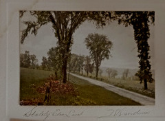 DAVID DAVIDSON 4 Hand Tinted Photos SIGNED 20’s (3×4.5 & 3×6.5) Named Higgins