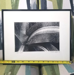 Vtg Black & White Corn Plant Photograph By Artist Matted Signed Dated And Framed