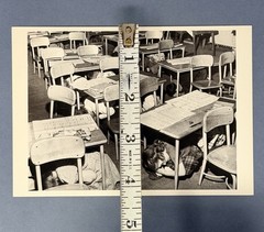 Cold War In The Classroom, NYC 1951 Fotofolio Art Photo Print Card 4.25”x6”