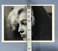Marilyn Monroe Art Print Card Photo By Arnold Newman Fotofolio 4.25”x6”