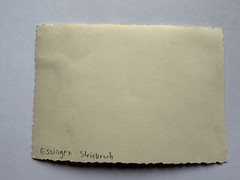 orig. Photo Essingen quarry around 1940 Ostalbkreis Aalen