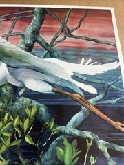 Egret In Flight: Fine Art Print “ Quiet Sunset” Vernon L Good 24.5 X 35” Overall