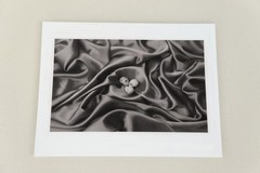 DOMINIC ROUSE Fine Art Gelatin Silver Photograph Birds Nest on Silk Ltd Edition