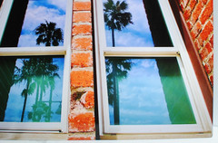 Artistic Brick Building Metal Print Professional Photograph/Palm Trees 16″ x 20″