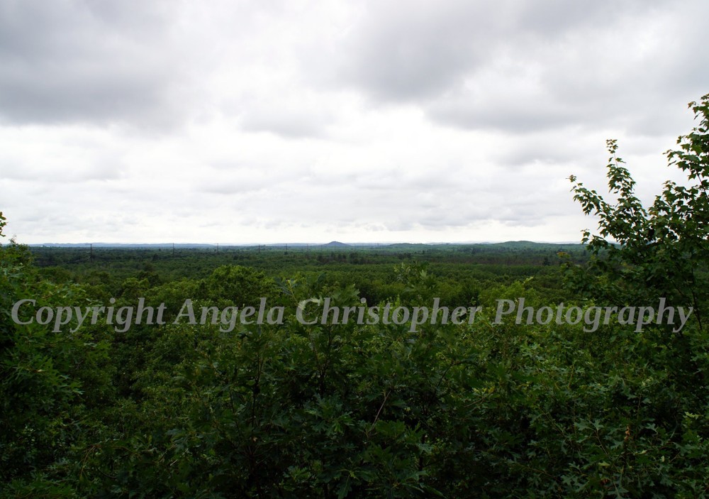 Original ACEO photo fine art print 2.5 x 3.5″ WISCONSIN OVERLOOK trees clouds