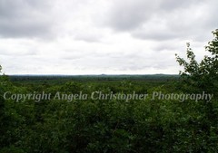 Original ACEO photo fine art print 2.5 x 3.5″ WISCONSIN OVERLOOK trees clouds