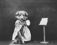 dog puppy pup baby art print Harry Whittier Frees 8×10 vintage photo picture #33