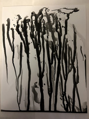 Untitled Photogram (2) Circa 2018