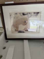 Framed Polar Bear Wildlife Color Landscape Photograph Animals Nature Art Print