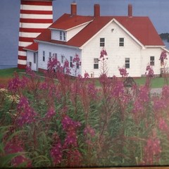 West Quoddy Head Lighthouse Maine Framed Art Print Coastal Wall Art Piece