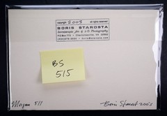Boris Starosta 3D Stereoview – Morgan 511 – nude model signed 2003