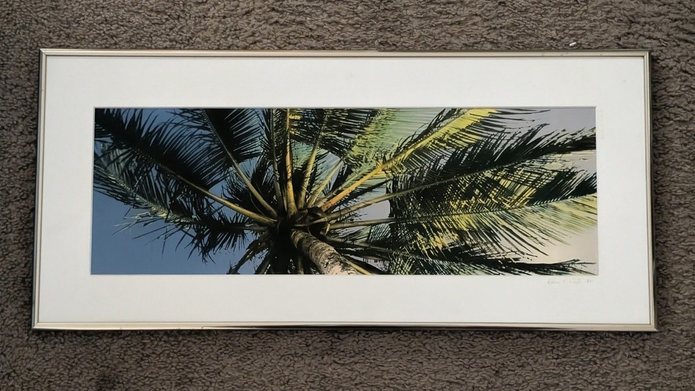 Vintage 1994 Robin L White Signed Palm Tree Tropical 23½”x10⅞”Framed Photo