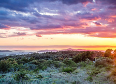 Digital photography -Croatia Image -ciovo(for print, or just as a wallpaper)