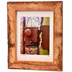 MICHAEL RAY Original Vintage Signed NY Secret Garden Landscape Photograph Print
