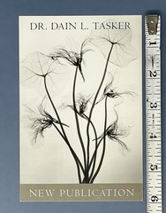 Dr. Dain L. Tasker (1872-1964) Art Photo Book Announcement Card – X-ray Flowers