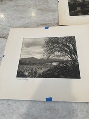 LOT OF (3) 1950s Titled Unsigned Art Photography Northern California CA Napa SF