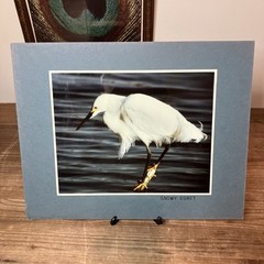 VTG Snowy Egret Sea Bird Art Photography Matted Signed By Artist Beach Decor