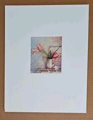 Lenny Lyons Bruno Art Photograph Pink Tulips in a Teapot Still Life Matted 11×14