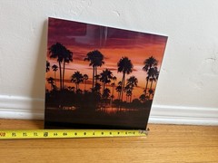 Aaron Chang Acrylic 12 By 12 – California Palm Trees