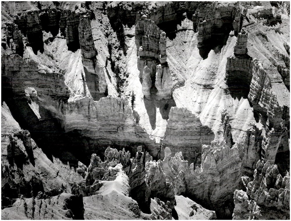 1947 1990s Ansel Adams In Cedar Breaks National Monument Utah Large Art Photo