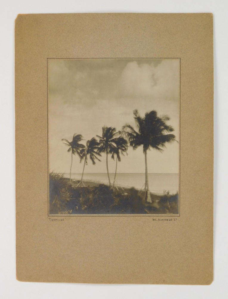 Set 3 Vtg B/W art Photos 1920s moody tropic still life plants exhibited labels
