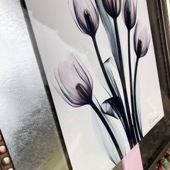 Tulips By Albert Koetsier Artist Signed Radiographic Xray Radio Photography Art