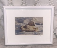 Vintage Photo Jim Stamates Polar Bear Kickin’ Back Framed Matted 10.25”x 8 3/8”
