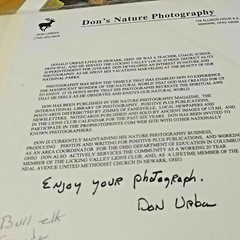 Bull Elk-Canada-Don Urban Original Nature Photography-12″ X 16″-matted/signed