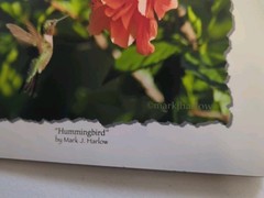 Hummingbird Pro Lab Frame Ready 8×10 Print By Mark J. Harlow 100 Year Archival