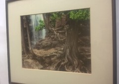 Jay Anderson Photograph Minnesota Gooseberry Falls Framed Art Forest Waterfall
