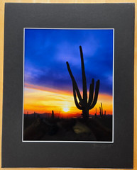 Photograph in Cardboard Frame 14″ X 11″ Southwestern Saguaro Cacti Sunset 9X7
