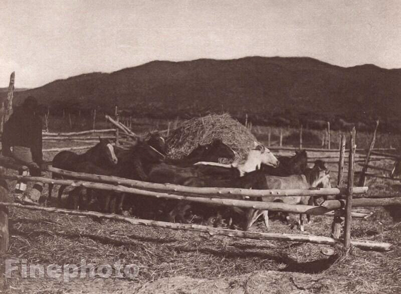 1900/72 Vintage EDWARD CURTIS Photo Gravure Native American Indian Horse Corral