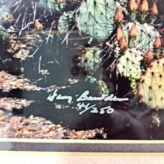 Harry Bowden “Boquillas Spring” Framed Photo & Matted Limited Edition Signed