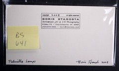 Boris Starosta 3D Stereoview – CREATIVE Palmilla Lamps Signed 2008