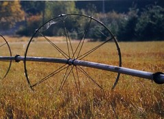 farm water sprinkler SW WA Epsom photo paper 8½” x 11″ print image 7″ x 9¼”