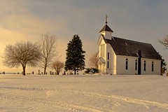 Winter Scene Minnesota * Starving Artist * 16×24 Canvas Landscape Print