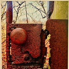 MICHAEL RAY Original Vintage Signed NY Secret Garden Landscape Photograph Print