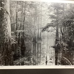 Blair Pittman: “Old River” – Original Gelatin Silver Print Photograph