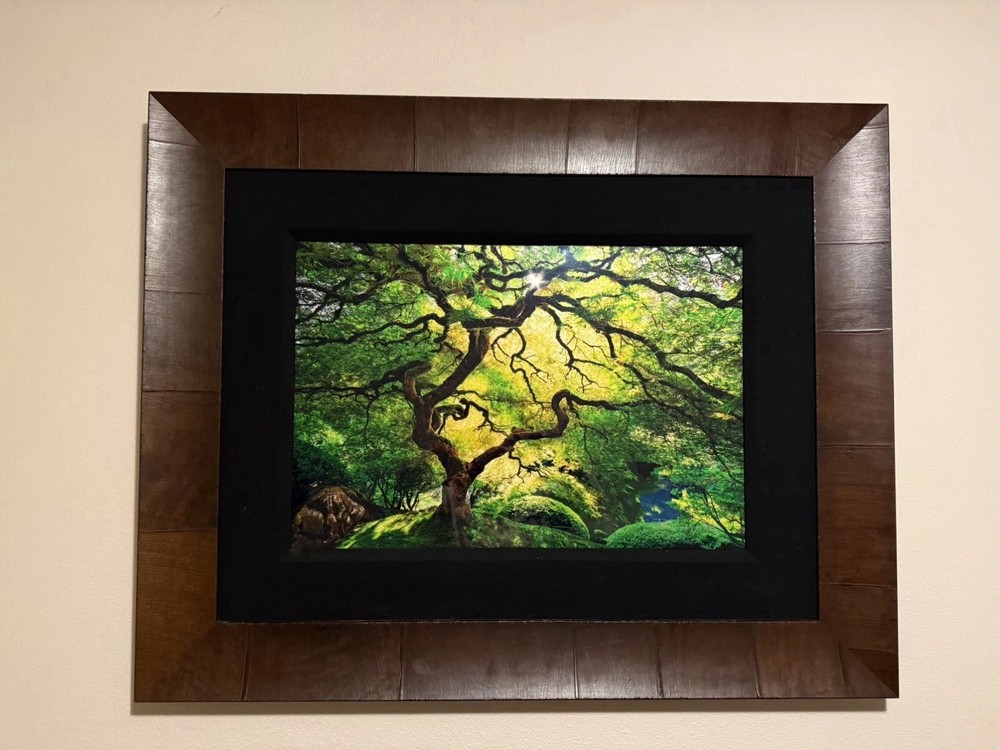 Peter Lik Inner Peace 794/950