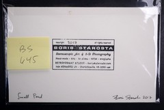 Boris Starosta 3D Stereoview – CREATIVE Small Pond Signed 2017