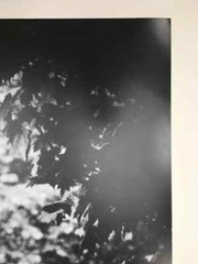 W. Eugene Smith – The Walk to Paradise Garden – 1987 – Offset Poster – Large