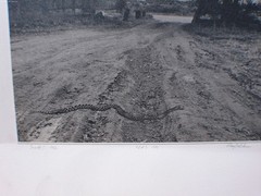 ” Snake! ” 1982 RAY BELCHER, Silver Gelatin Print , Santa Fe New Mexico