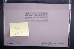 Boris Starosta 3D Stereoview – Terri 2223 – nude model signed 2010