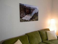 Point Lobos, California: Landscape Metal Photography Print 24×36 by Radu Sava