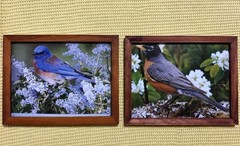 Set of 2 Framed Bird Prints Bluebird Robin Nature Wall Art Rustic Frame