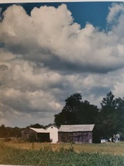 BUFFALO LANDSCAPE LG ORIGINAL SIGNED ART PHOTO B&W STETTNER VTG MATTE NJ CAMERA