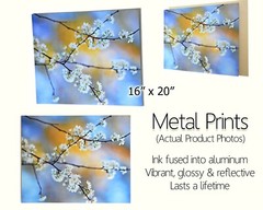 Smokey Mountain, Winter Scenic Landscape, Fine Art Photo on Metal, Canvas, Paper