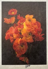 Vintage JONATHAN SINGER Orange POPPIES Bouquet FLOWER Botanica Signed PHOTOGRAPH